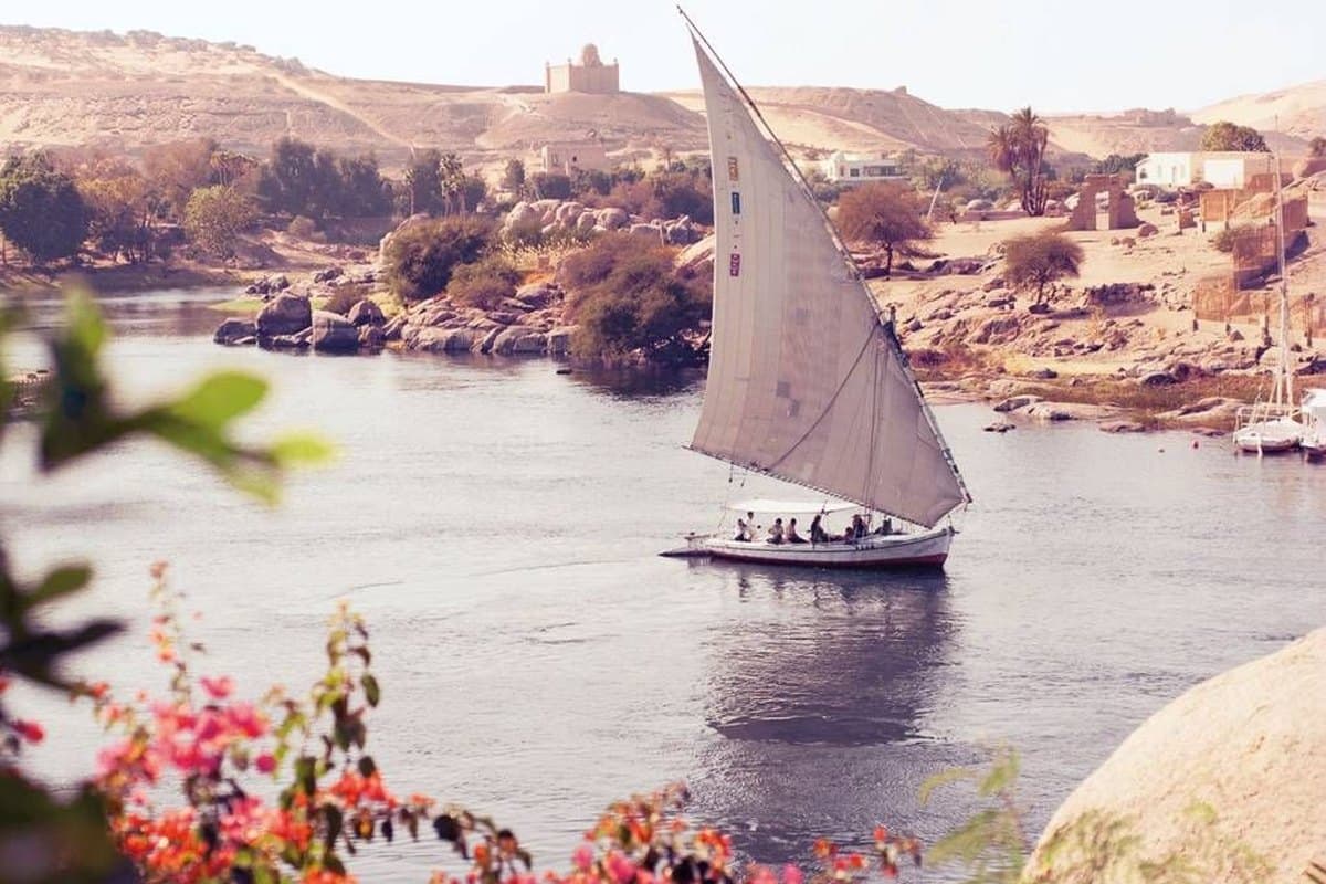A felucca sailing past the granite banks near Aswan, framed by bougainvillea in bloom